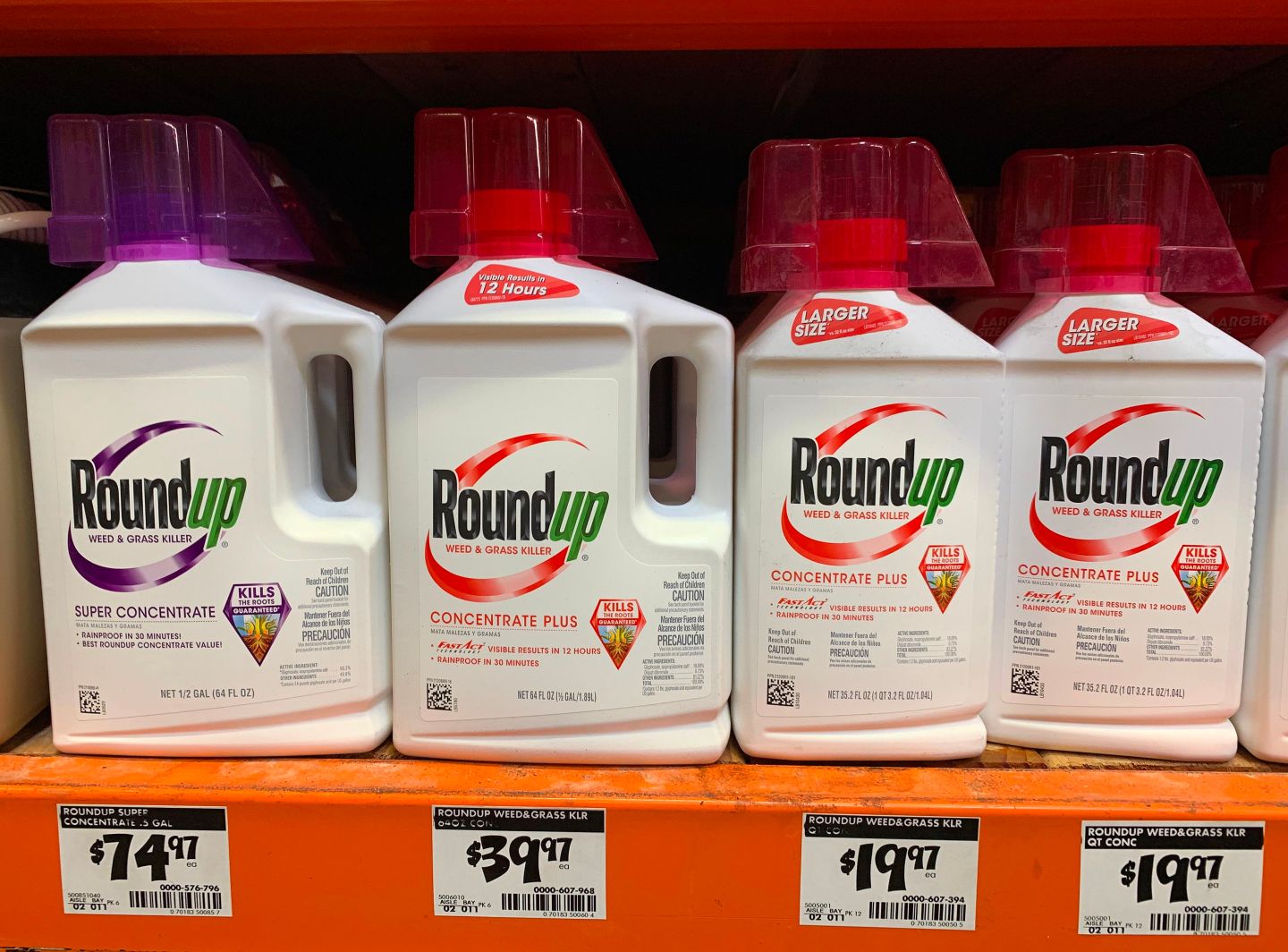 Roundup weed killer that is the subject of thousands of lawsuits in the US, is pictured on sale in Los Angeles, California on September 1, 2019. (Photo by Mark RALSTON / AFP) (Photo credit should read MARK RALSTON/AFP/Getty Images)