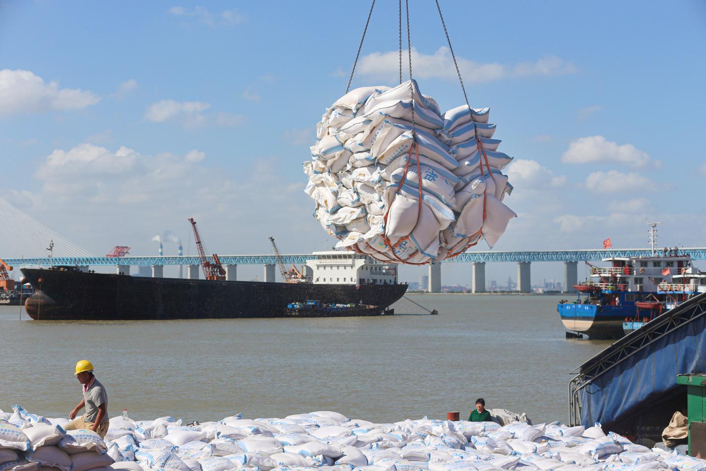 Workers transfer products made with soybeans imported from Brazil at a port in Nantong in China's eastern Jiangsu province on September 19, 2019.