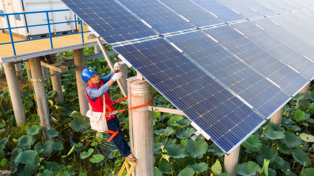 Solar is set to make up the greatest portion of renewable power growth in the next five years