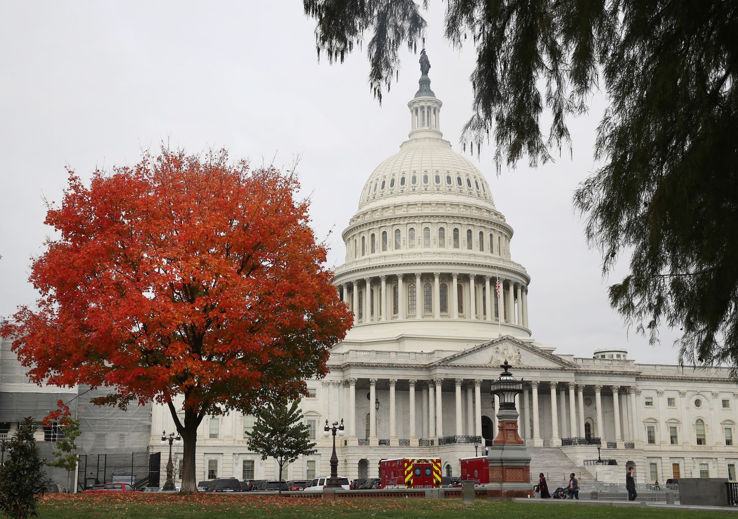 Fall Foliage On Display In Washington, DC