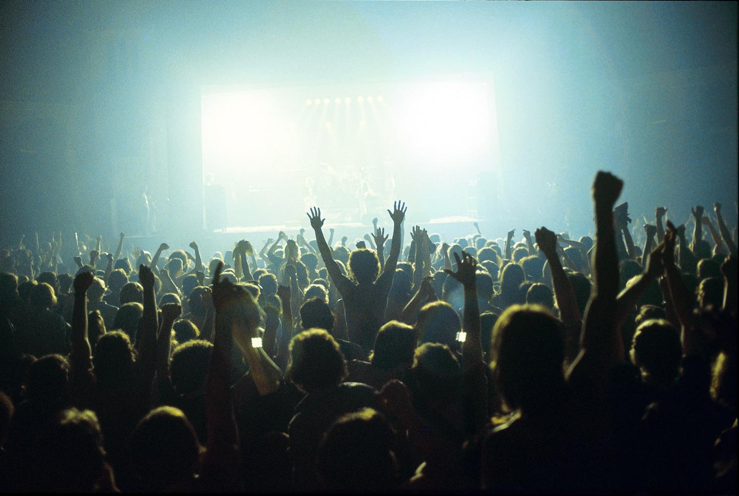 Concert Audience
