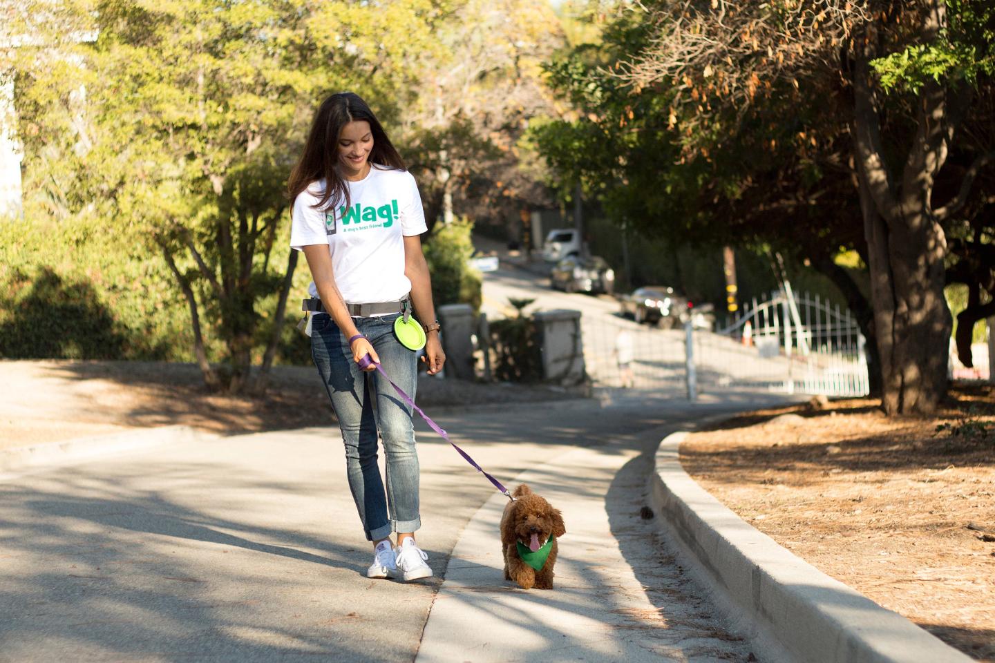 Wag Dog Walking