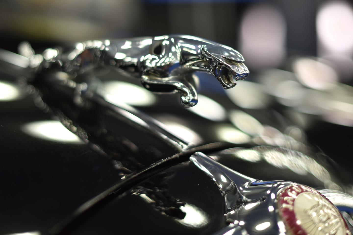LONDON, ENGLAND - OCTOBER 23: A 1967 Jaguar Mark 2 3.8 Saloon Bonnet Mascot on display during the RM Sotherb's London, European car collectors event at Olympia London on October 23, 2019 in London, England. RM Sotheby's London, billed as the annual highlight for European car collectors will show Edwardians to modern supercars and offers collectors and attendees the opportunity to experience the very best of European cars. Sotheby’s will also present The Ultimate Whisky Collection, the most valuable collection of whisky ever to be sold at auction, both events will culminate in live auctions on 24th October. (Photo by John Keeble/Getty Images)