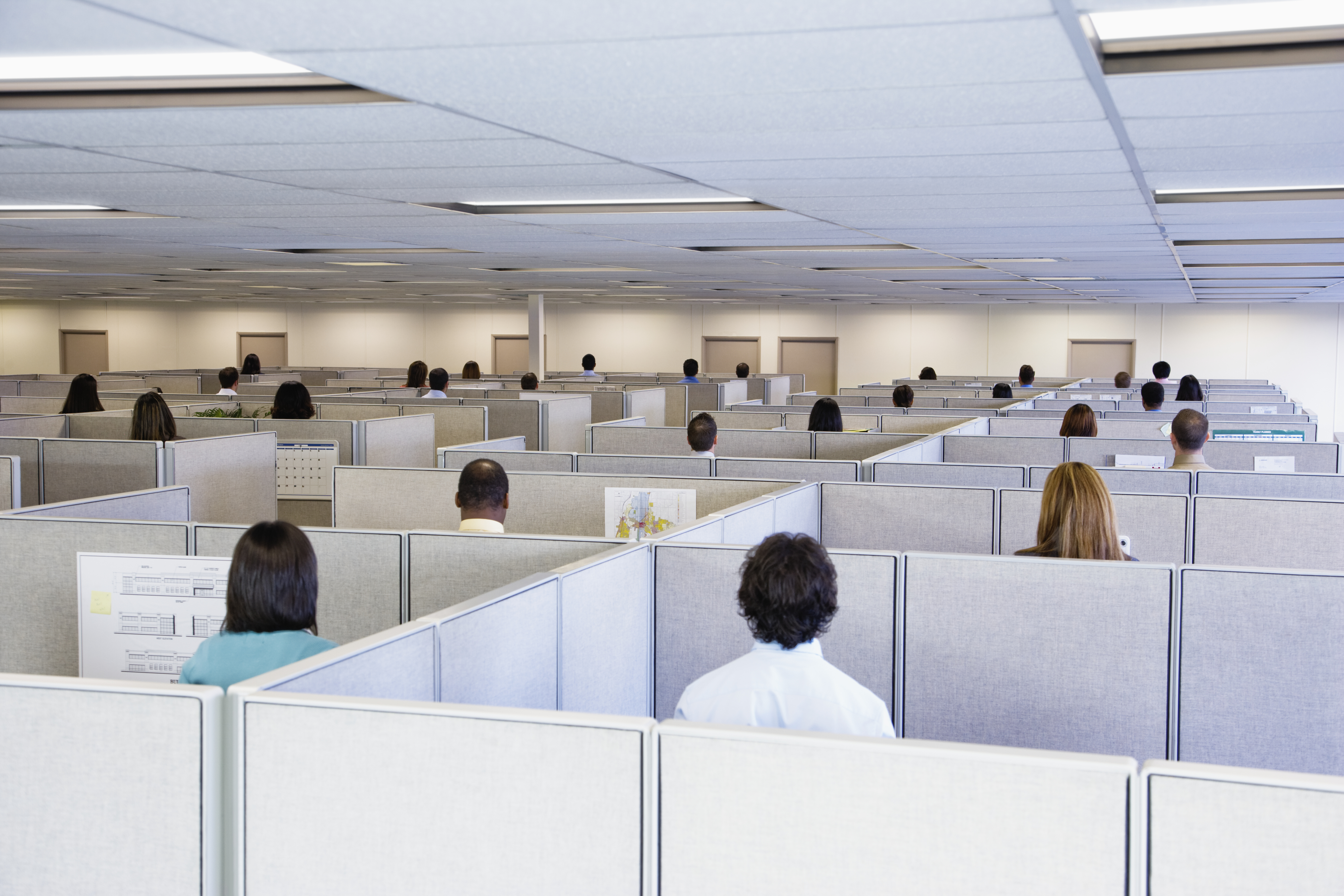 A.I. will eliminate thousands of cubicle jobs by 2030.