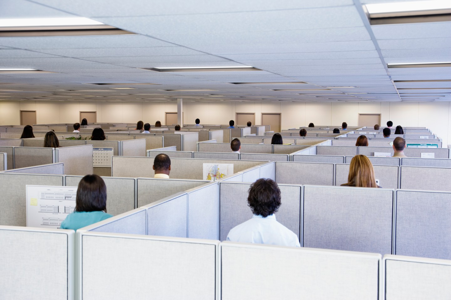 A.I. will eliminate thousands of cubicle jobs by 2030.