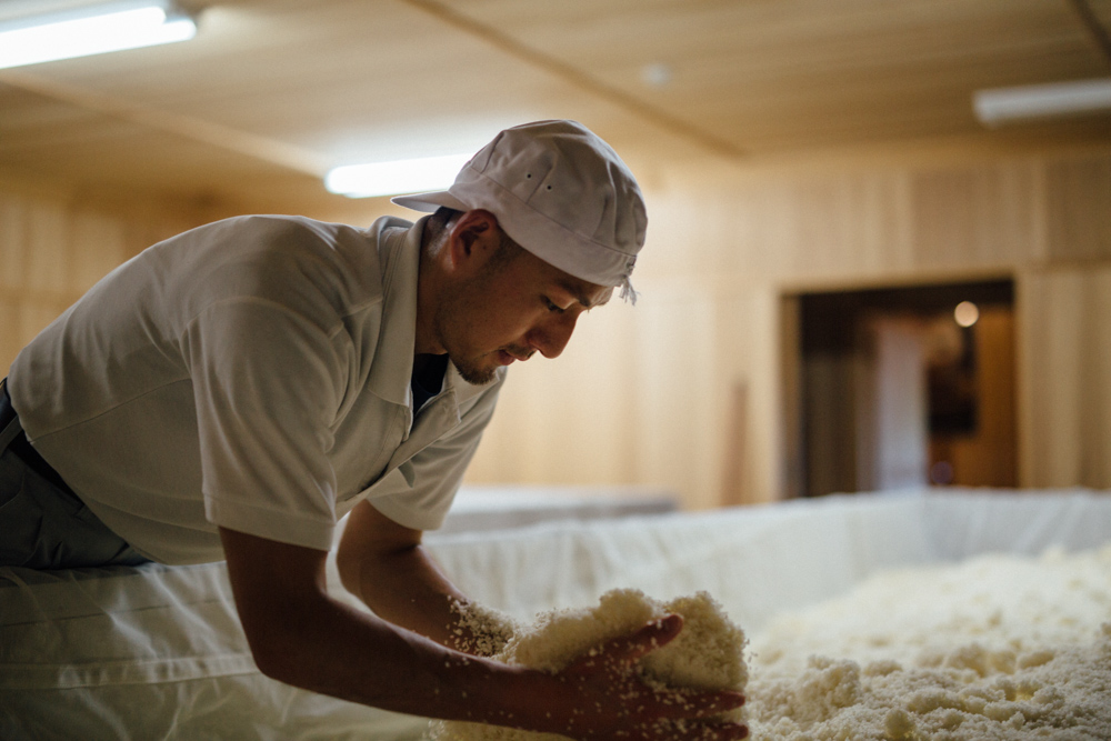 In Shichiken’s warm koji room, breaking up clumps of rice to allow the koji to spread.