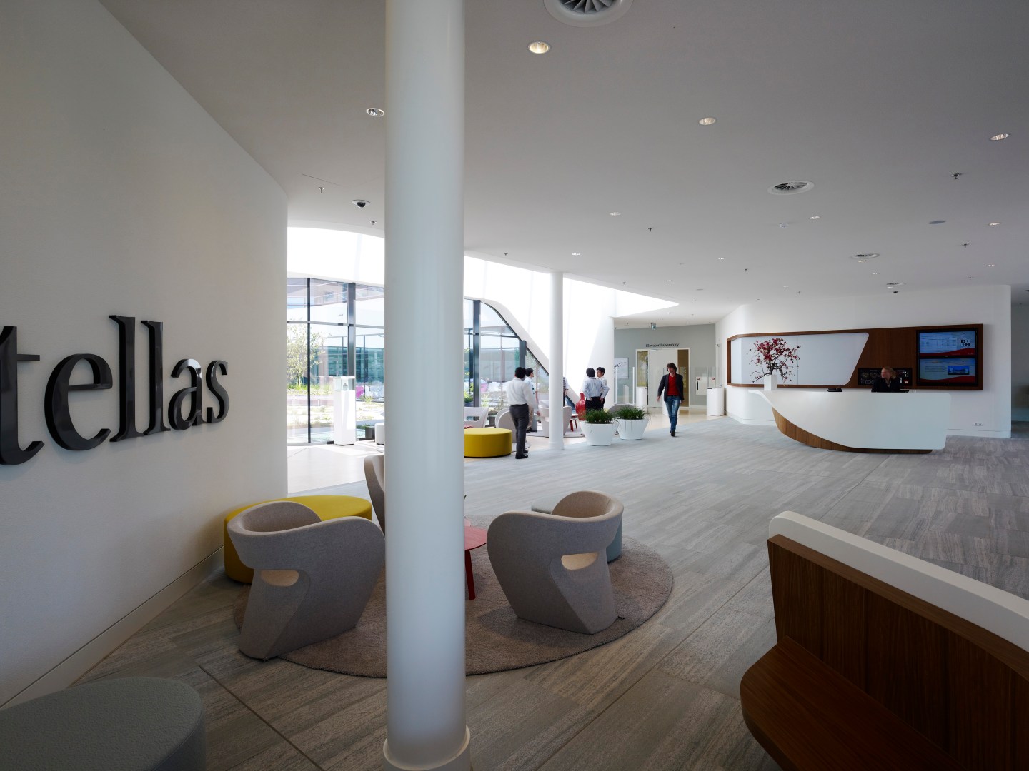 Astellas Gene Therapy Deal