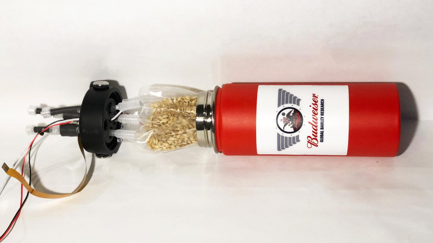 Budweiser-Barley-Research-NASA