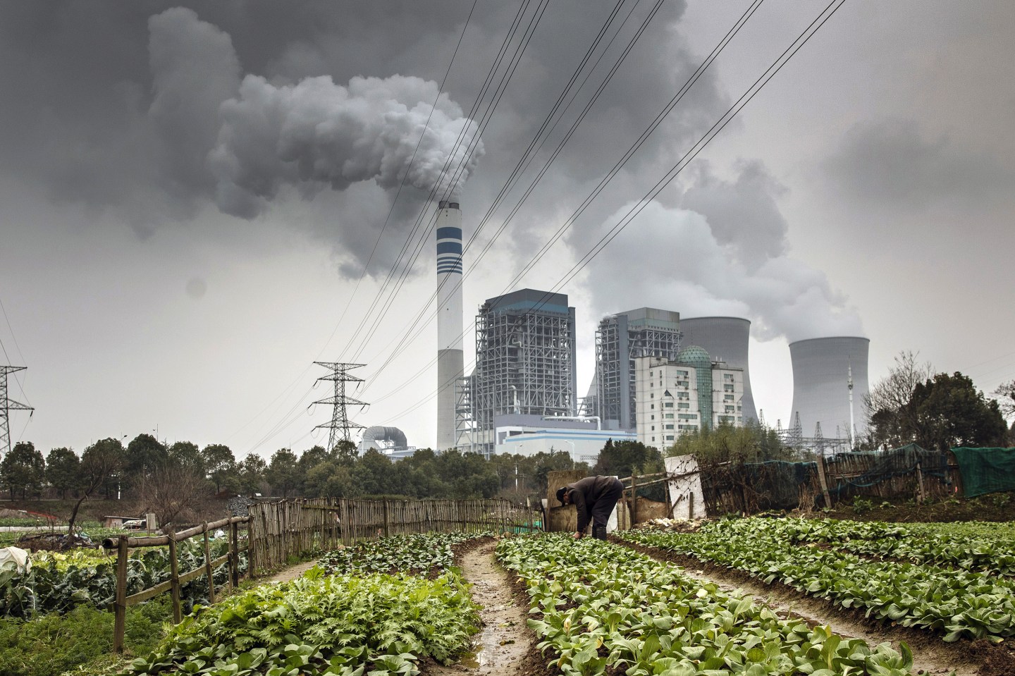 Carbon-Emissions-China