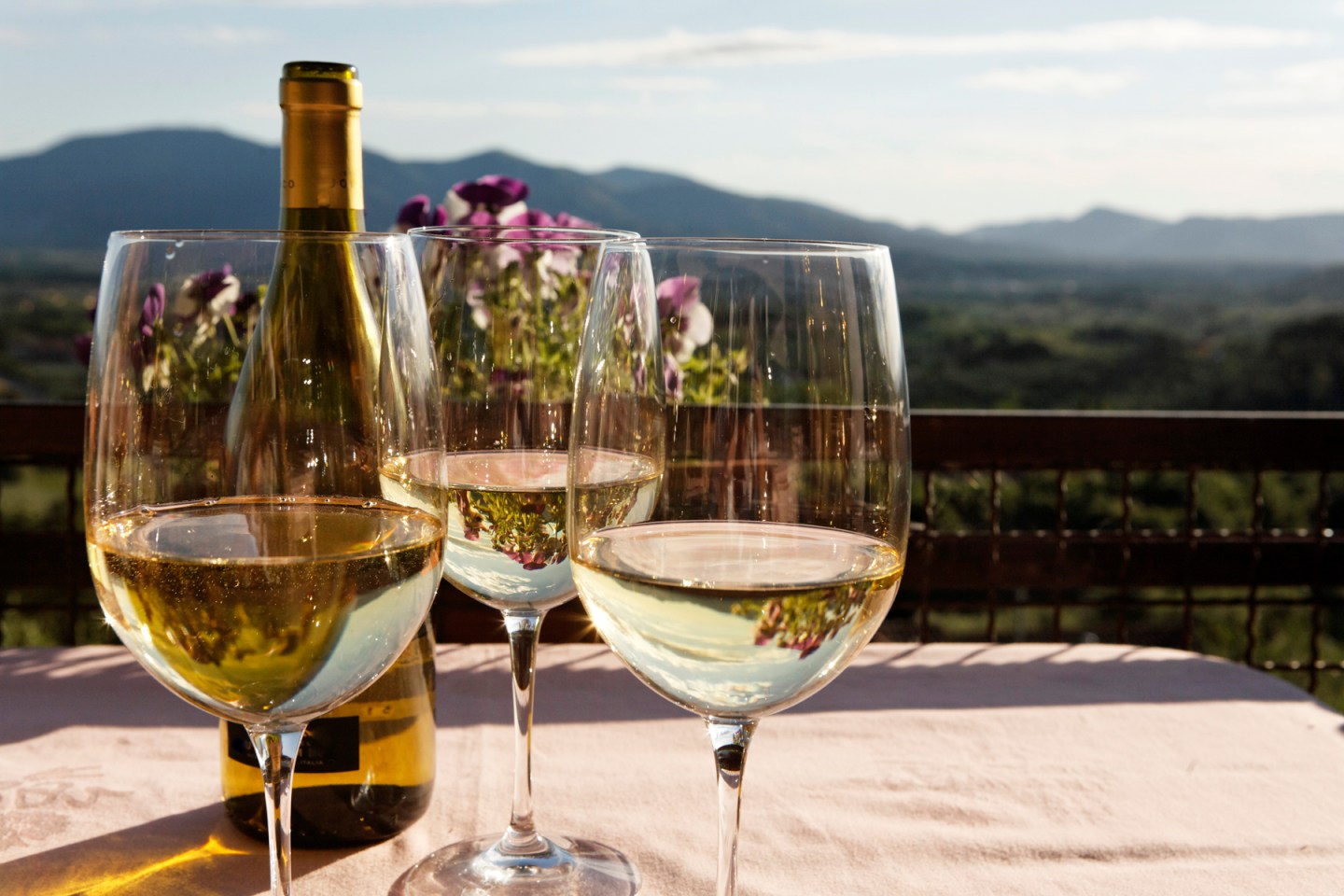 Chardonnay has often been described as the "queen" of white wine grapes.