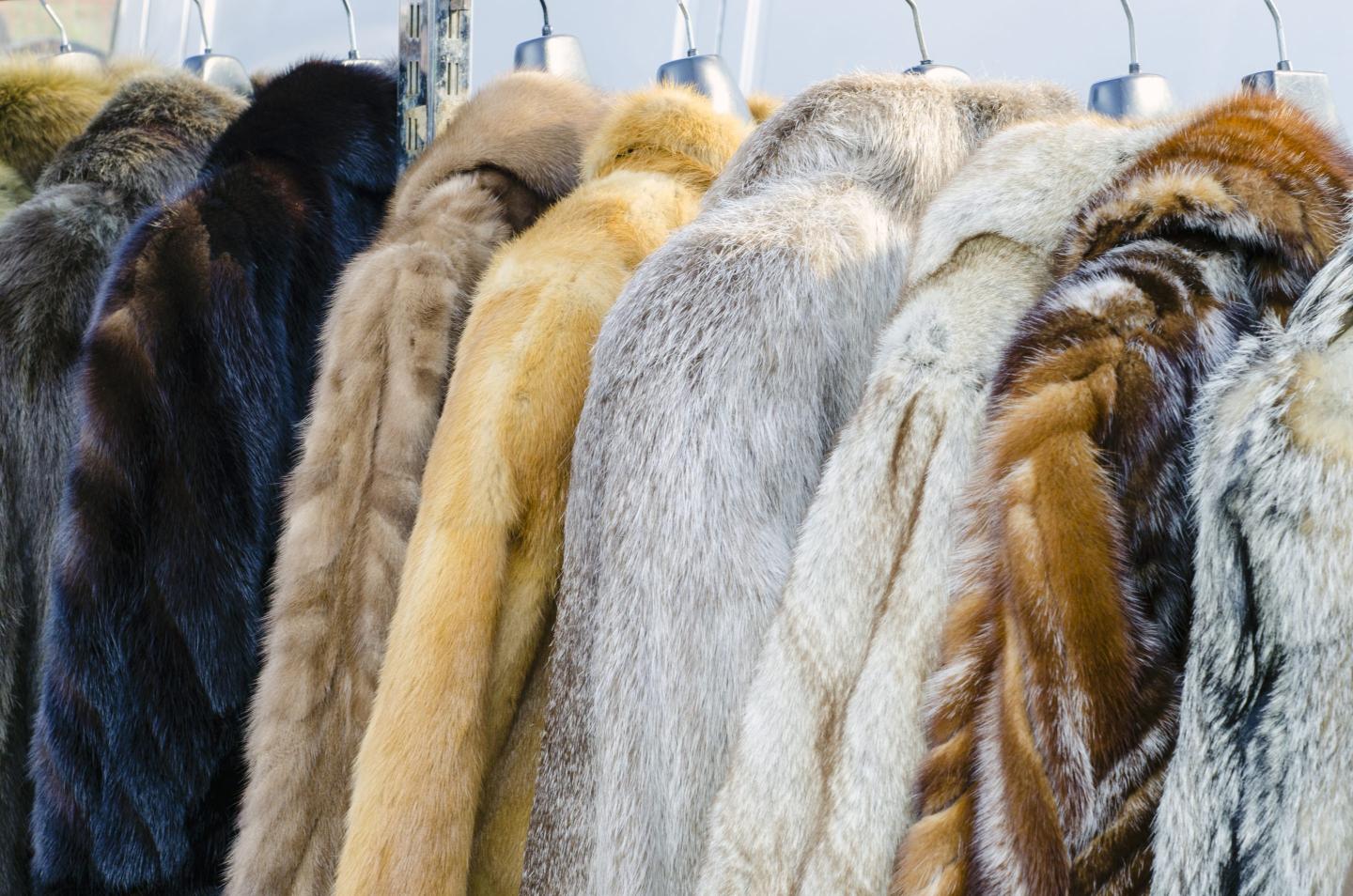 Consumers Are Turning Away From Real Fur, but Faux Fur Is Not a Perfect Fashion Fix