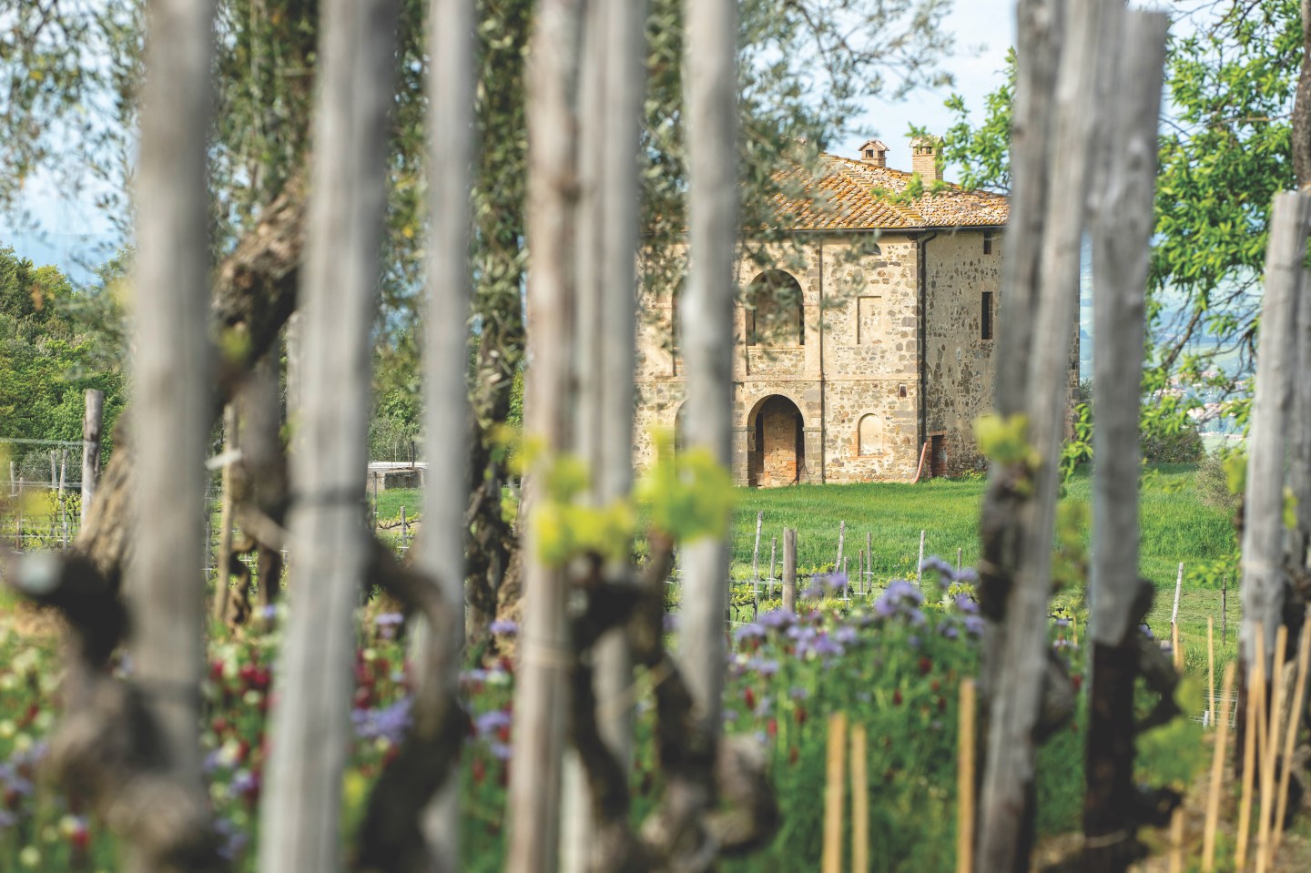 BS_StoneHouseBetweenVines