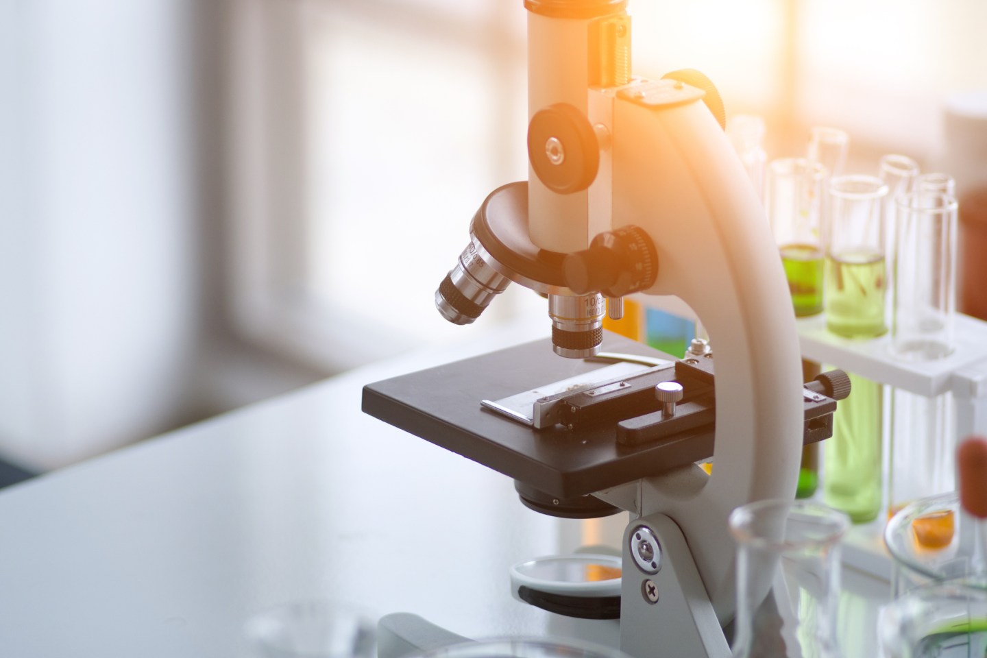 FDA Sarepta Drug Approval Controversy