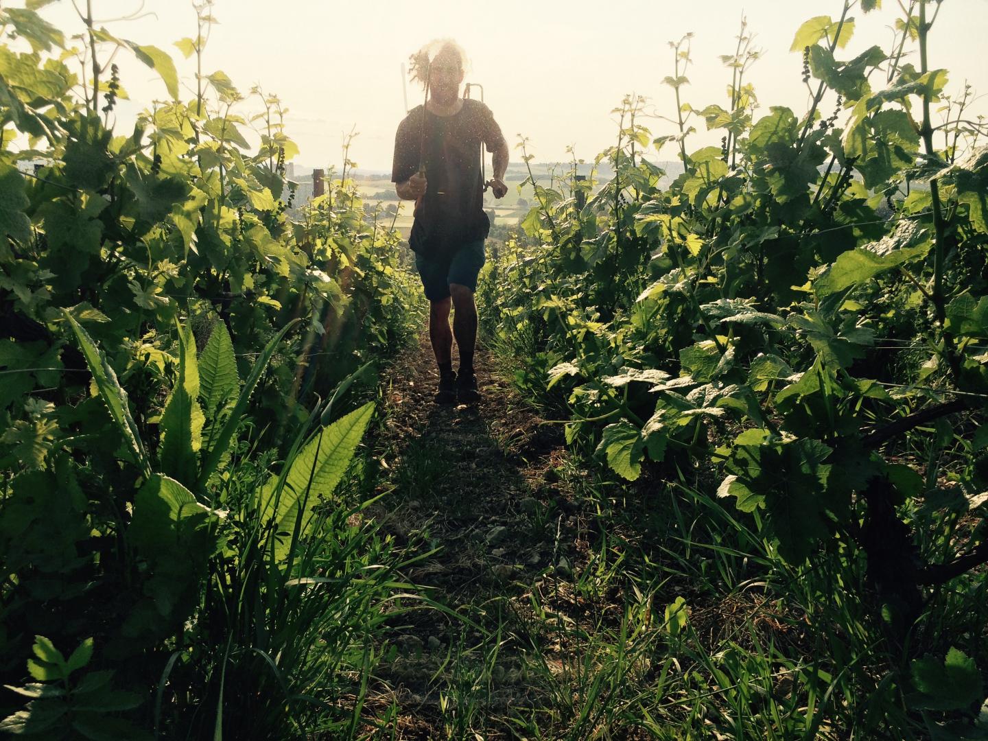 Why zero-dosage, super-dry Champagnes are popping everywhere