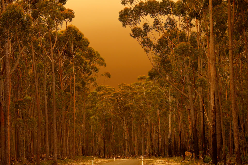 Thick smoke from bushfires fills the air in eastern Gippsland on January 02, 2020, Australia. The HMAS Choules docked outside of Mallacoota this morning to evacuate thousands of people stranded in the remote coastal town following fires across the area