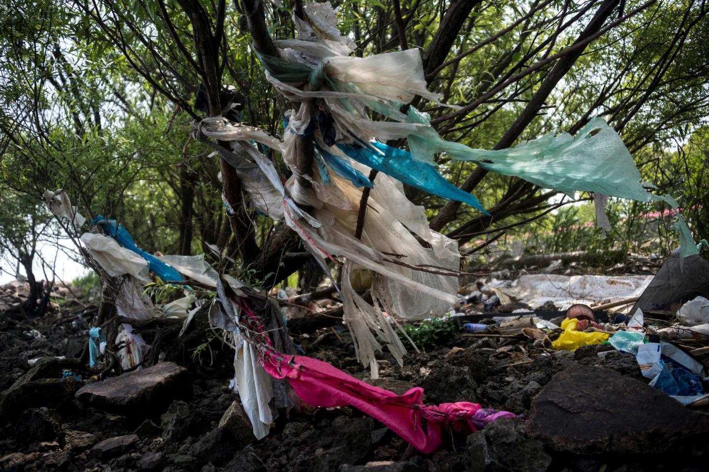 China has announced plans to curtail its consumption of single-use plastic. This picture, taken on May 13, 2018 shows plastic waste washed ashore on the coastal strip of Shanghai.
