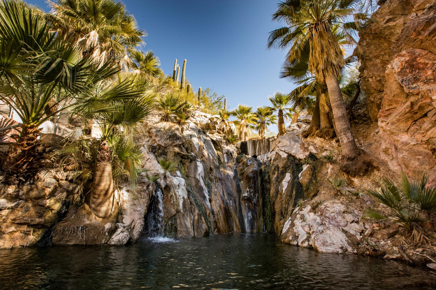Arizona’s very first luxury resort—originally opened in 1896—is back in business