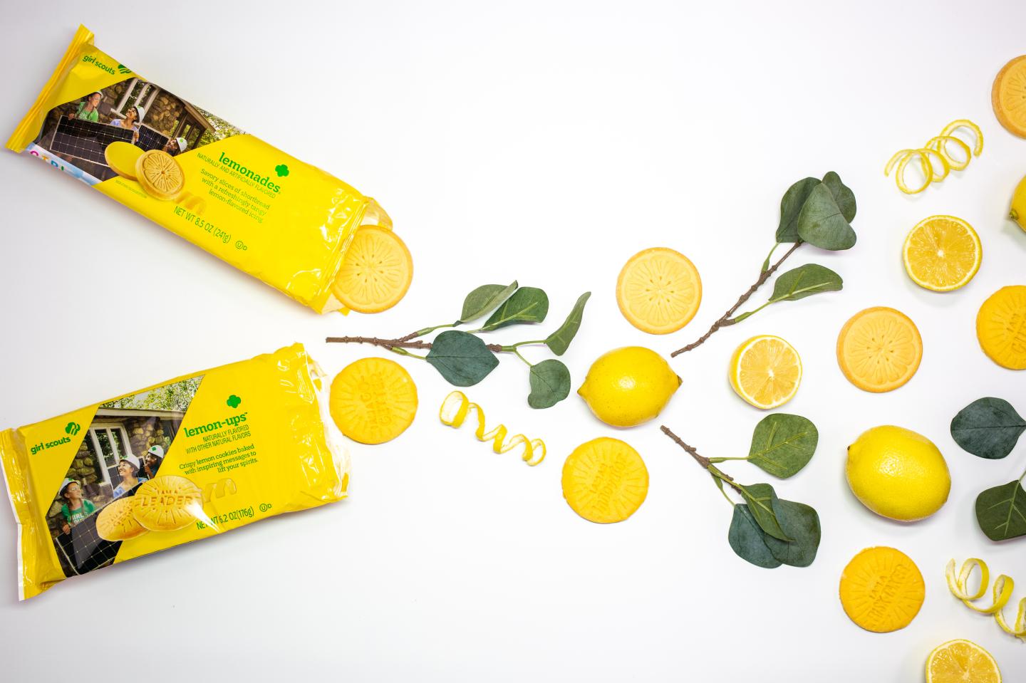 What Goes Into the Production of a New Girl Scout Cookie Brand
