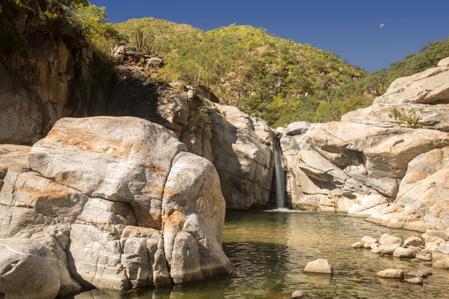 Cabo’s Newest Luxury Resort From Ritz-Carlton Favors Tranquility Over Nightlife