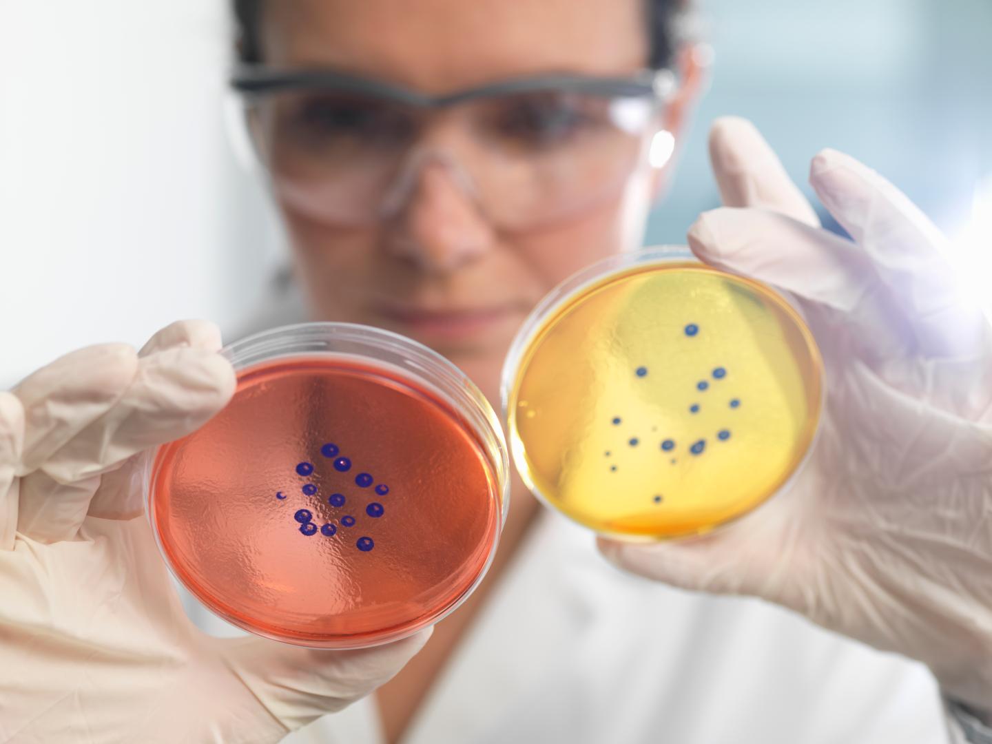 Antibiotics AI