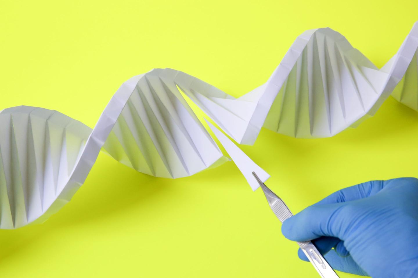 CRISPR Gene Editing Trial Cancer Safety