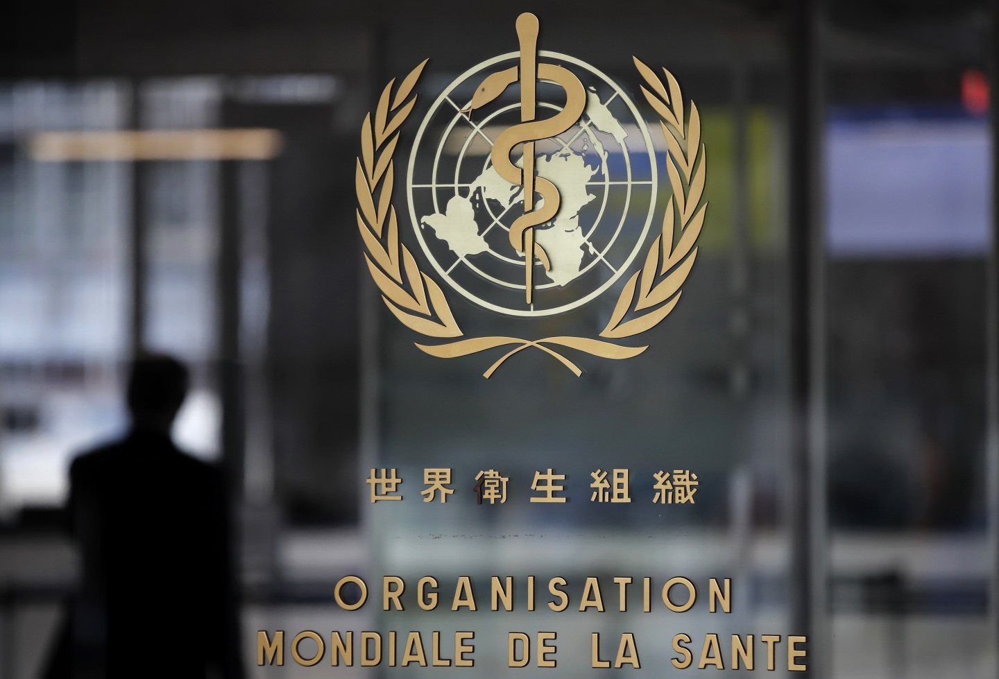 Coronavirus infections deaths update