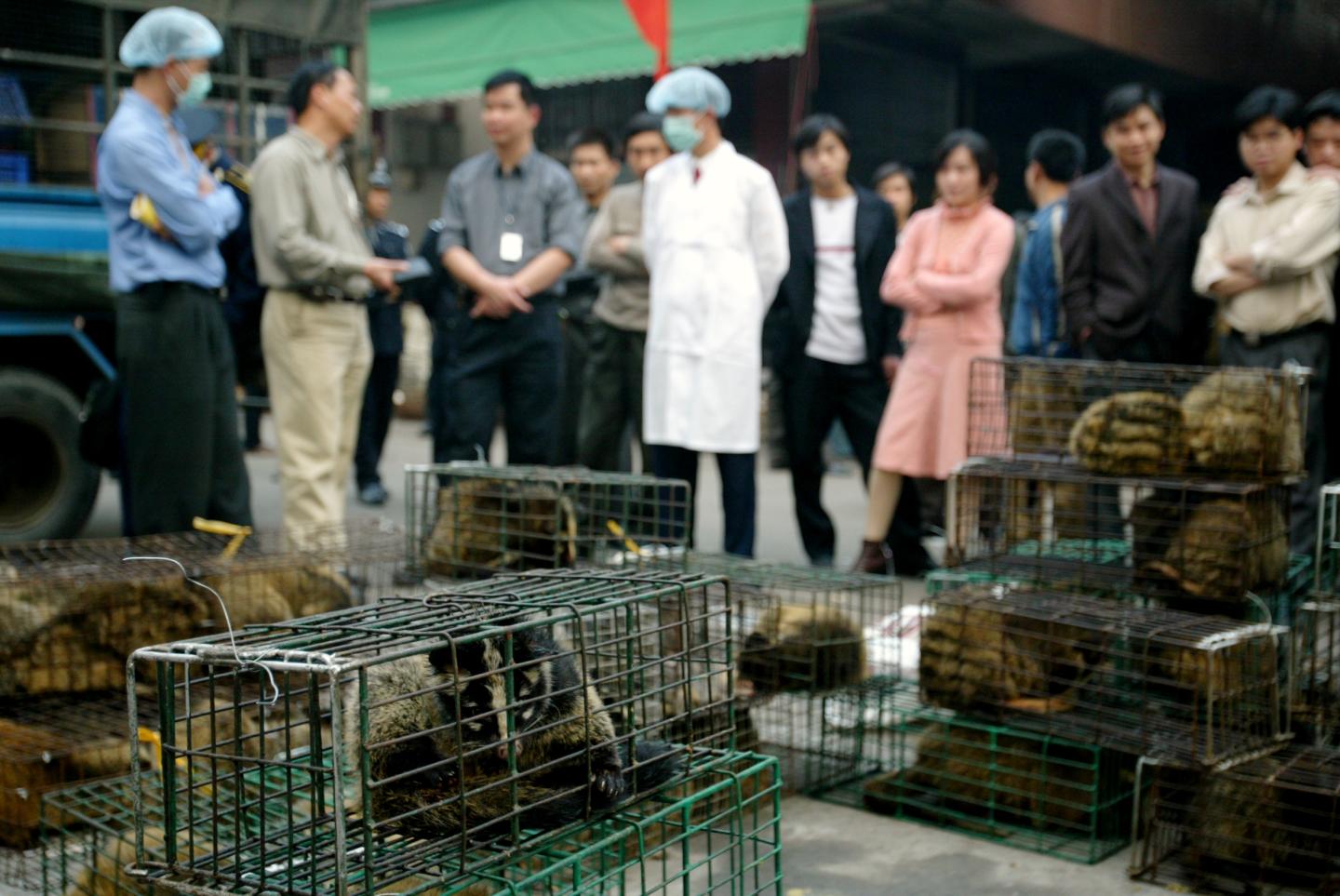 UN cancels biodiversity meeting in China over coronavirus fears
