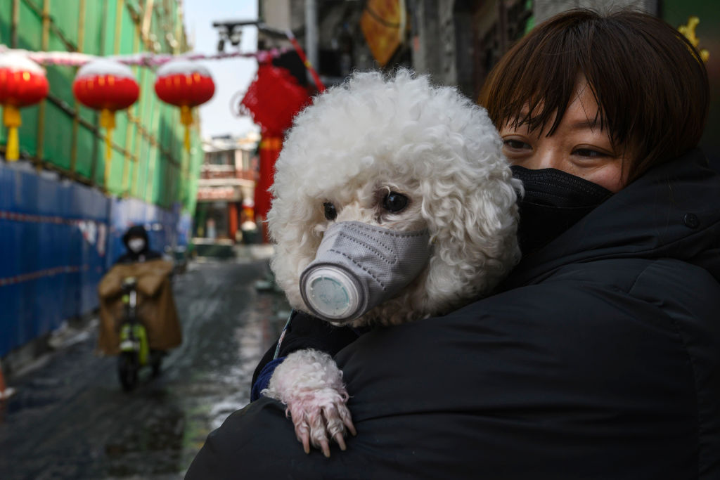 Concern In China As Mystery Virus Spreads