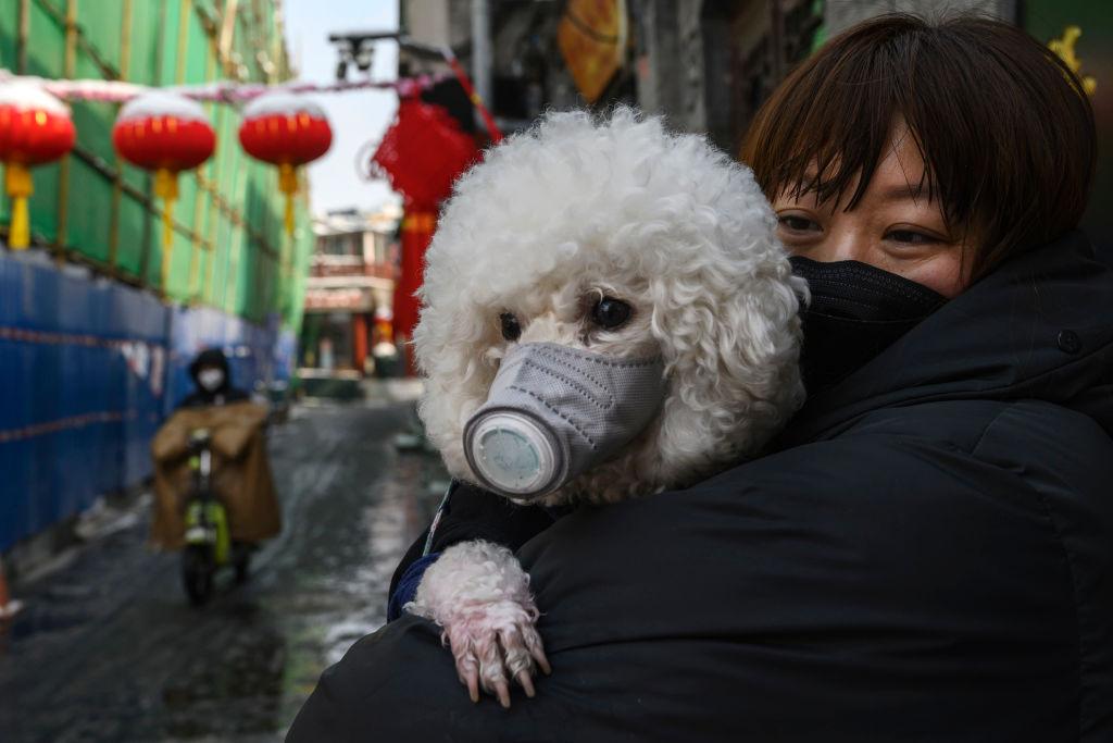 Concern In China As Mystery Virus Spreads