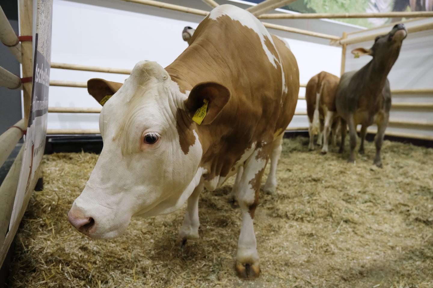 Looking to cut emissions, Europe eyes a ‘sustainability’ tax on meat