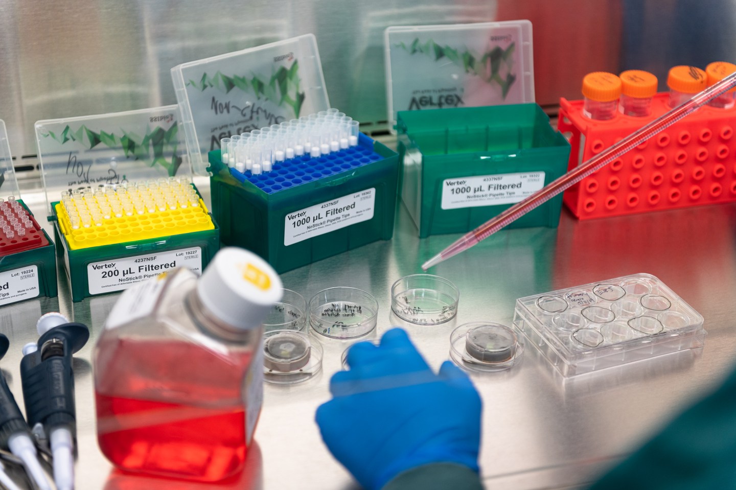 Close up of the media in which neurons are grown being changed by a Cortical Labs employee.