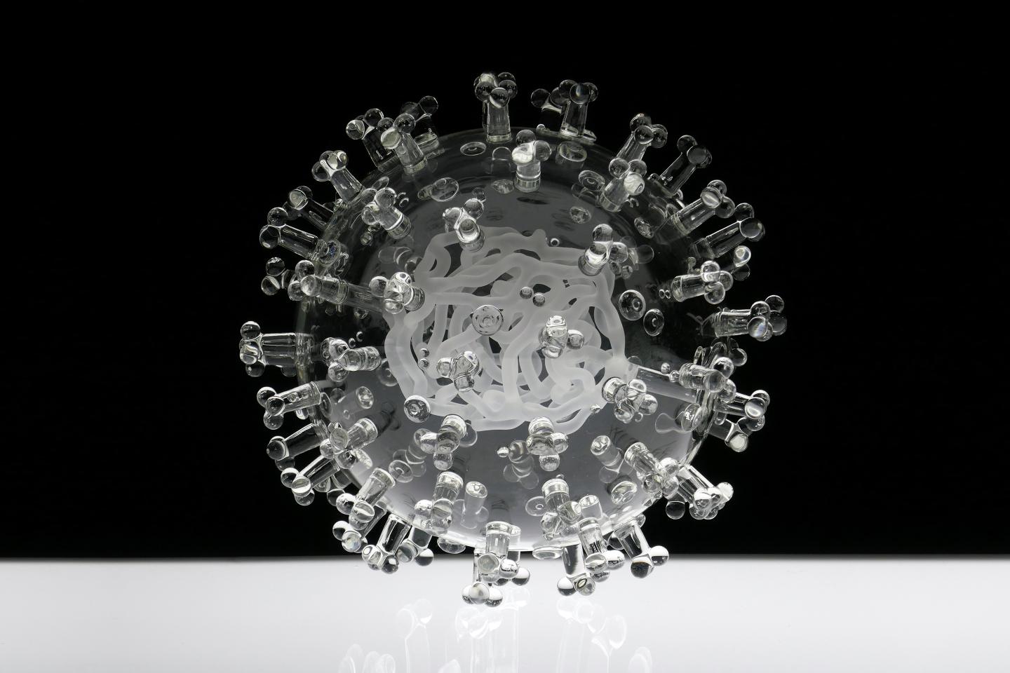 Coronavirus Glass Sculpture