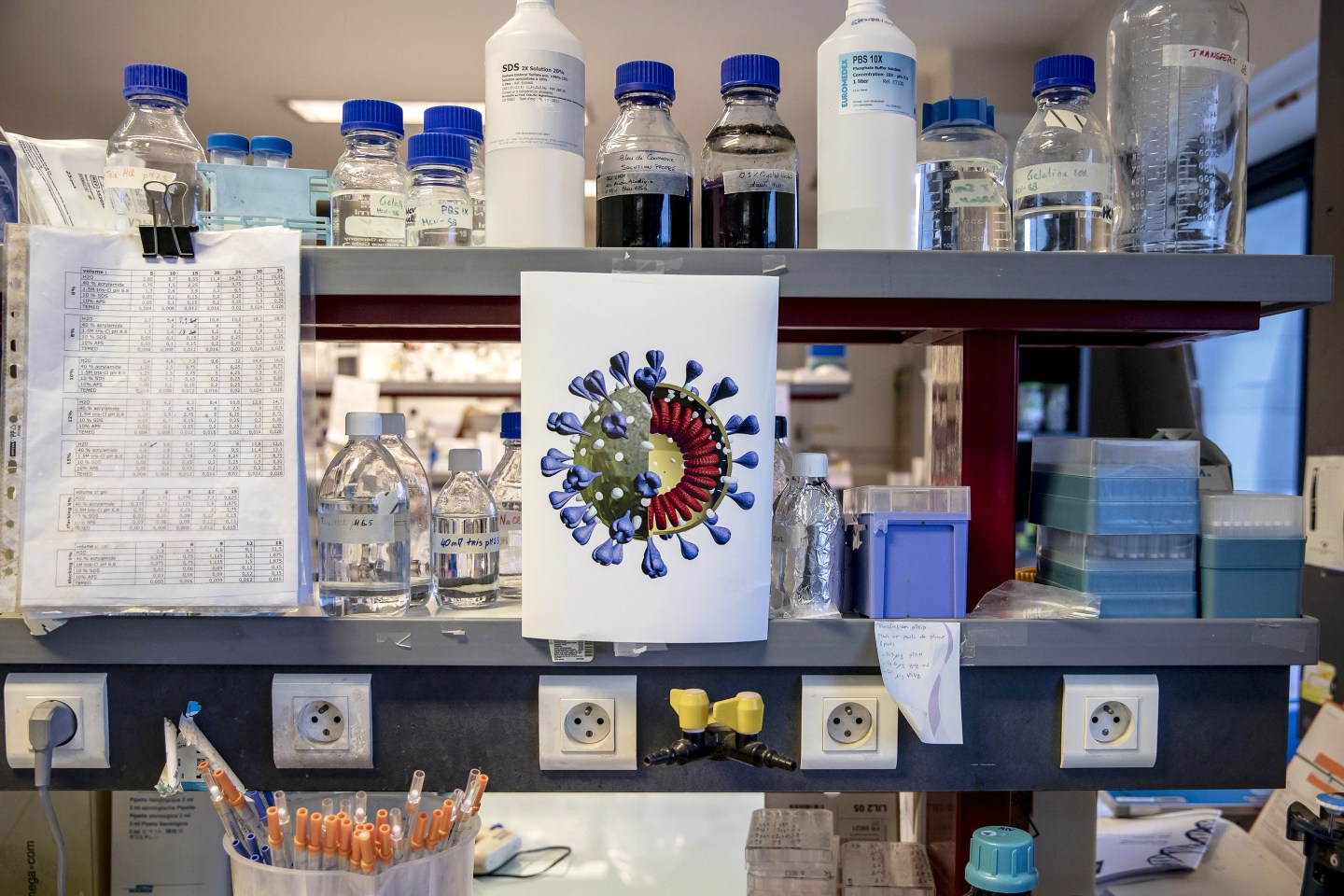 Coronavirus Research Work