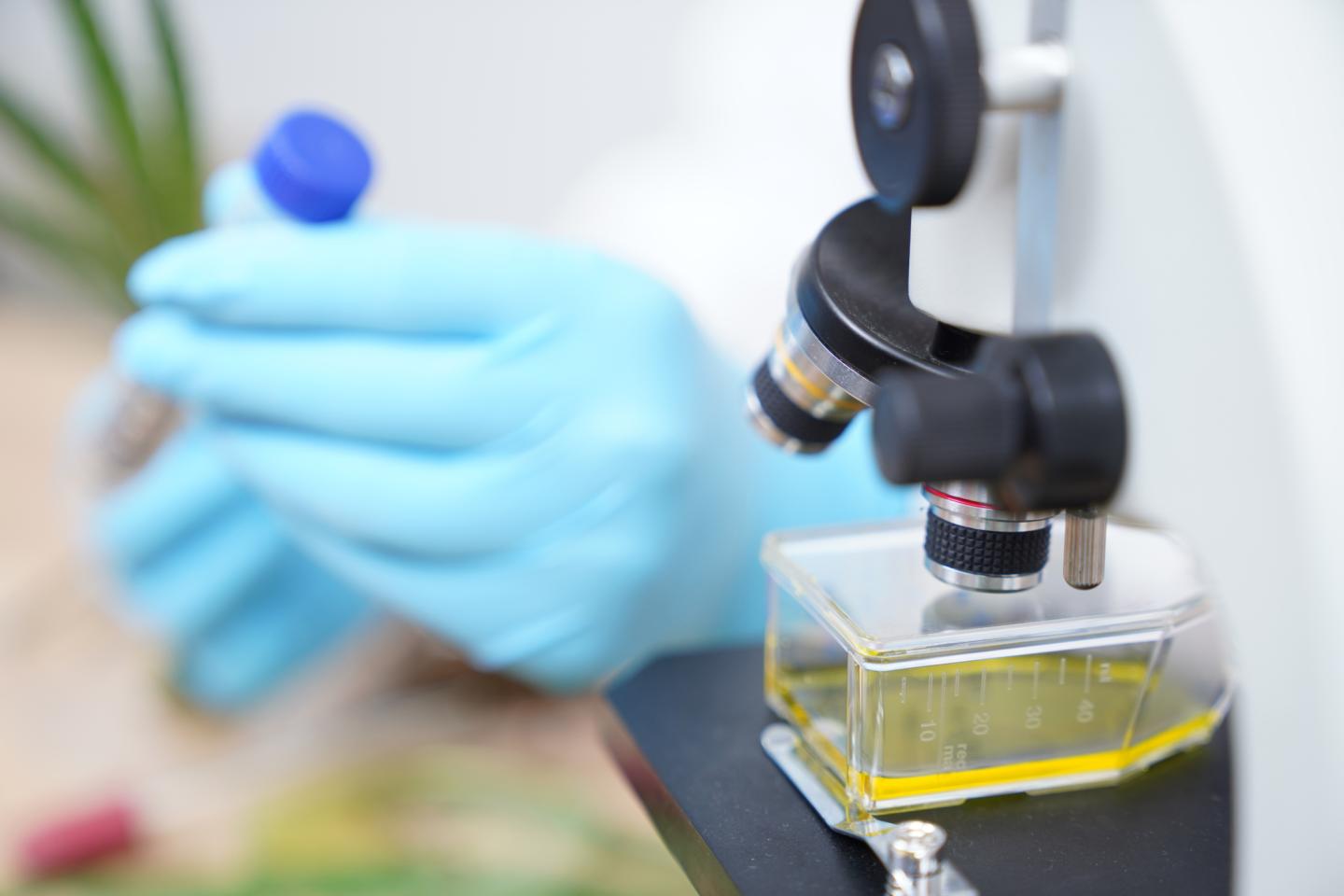 Gates Foundation Mastercard Wellcome coronavirus