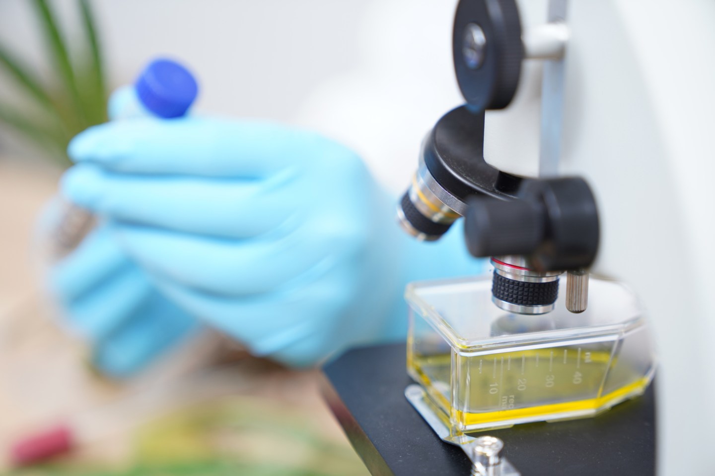 Gates Foundation Mastercard Wellcome coronavirus