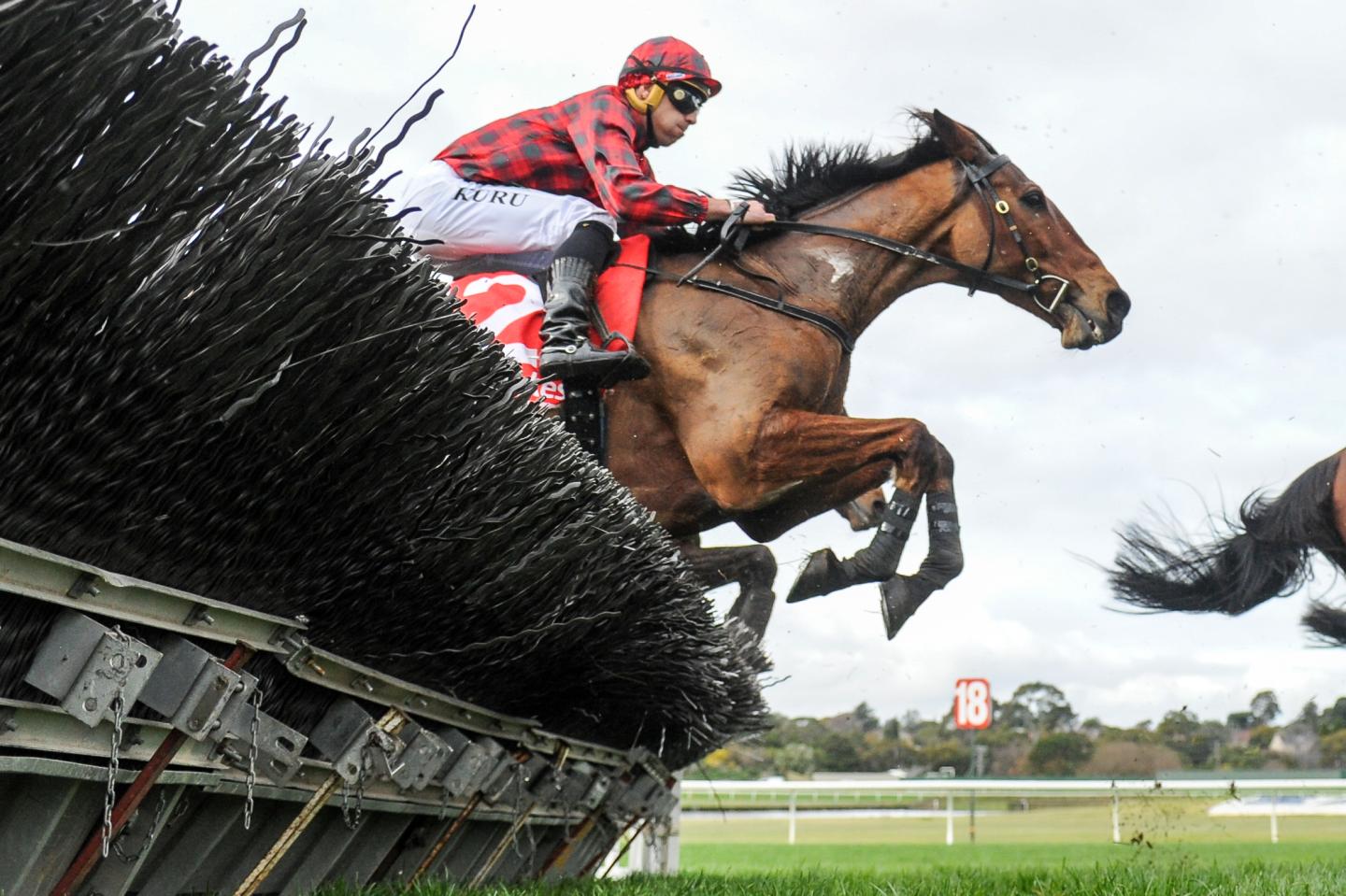 Life without sports—betting firms begin to tally up their coronavirus losses