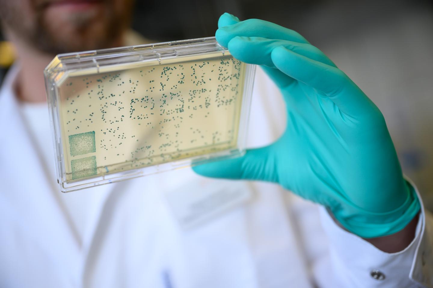 How a biotech startup working on a coronavirus cure got caught in a tug-of-war between the White House and Berlin