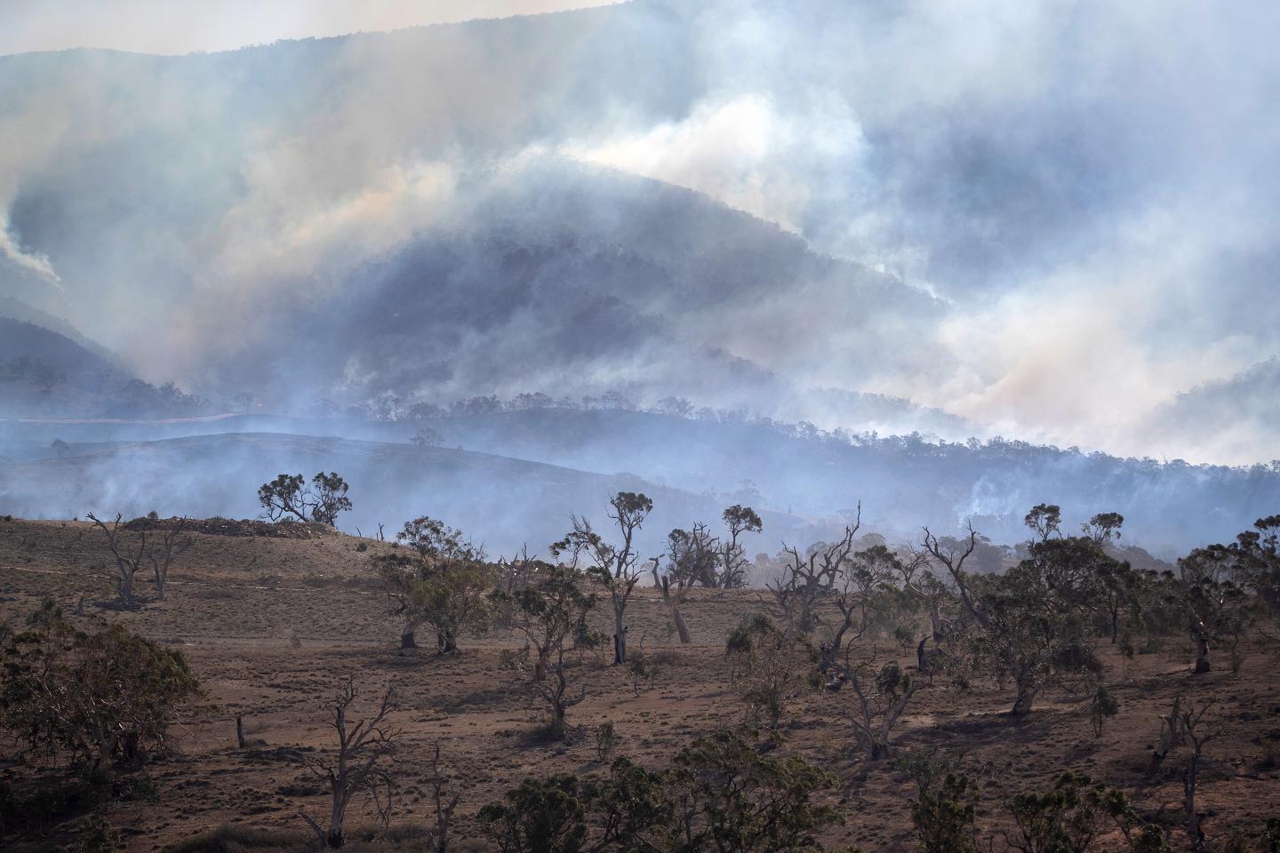 5 charts projecting the cost of climate change by 2100