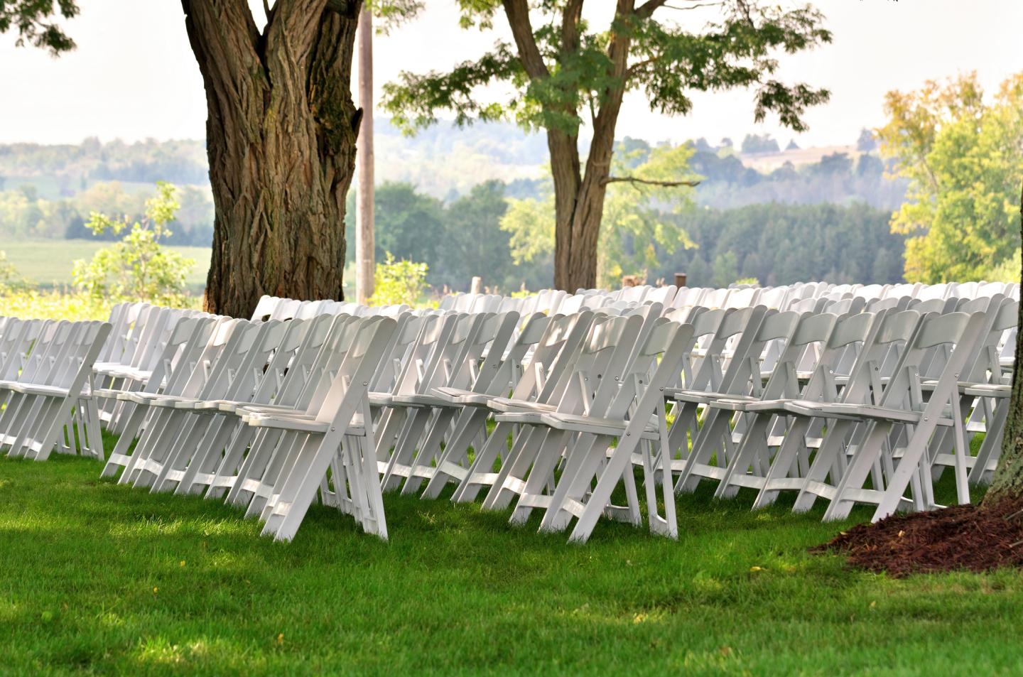 Wedding businesses and vendors feel the pinch in coronavirus outbreak