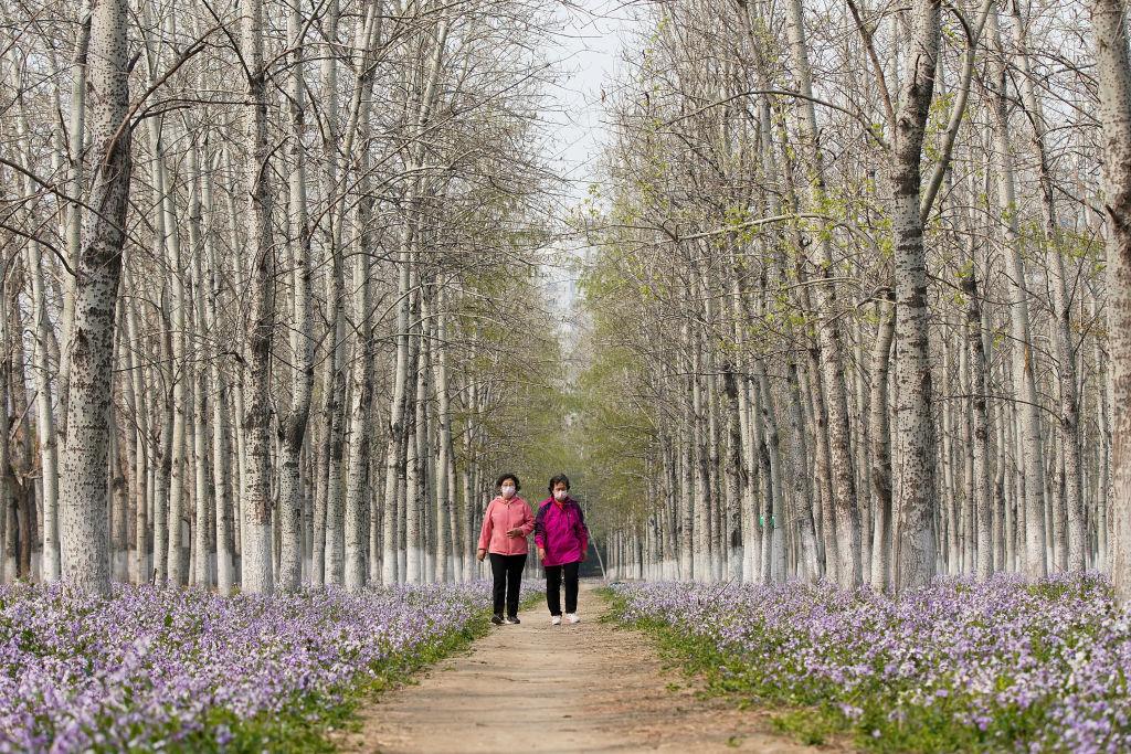 People's Daily Life Gradually Recovers In Beijing