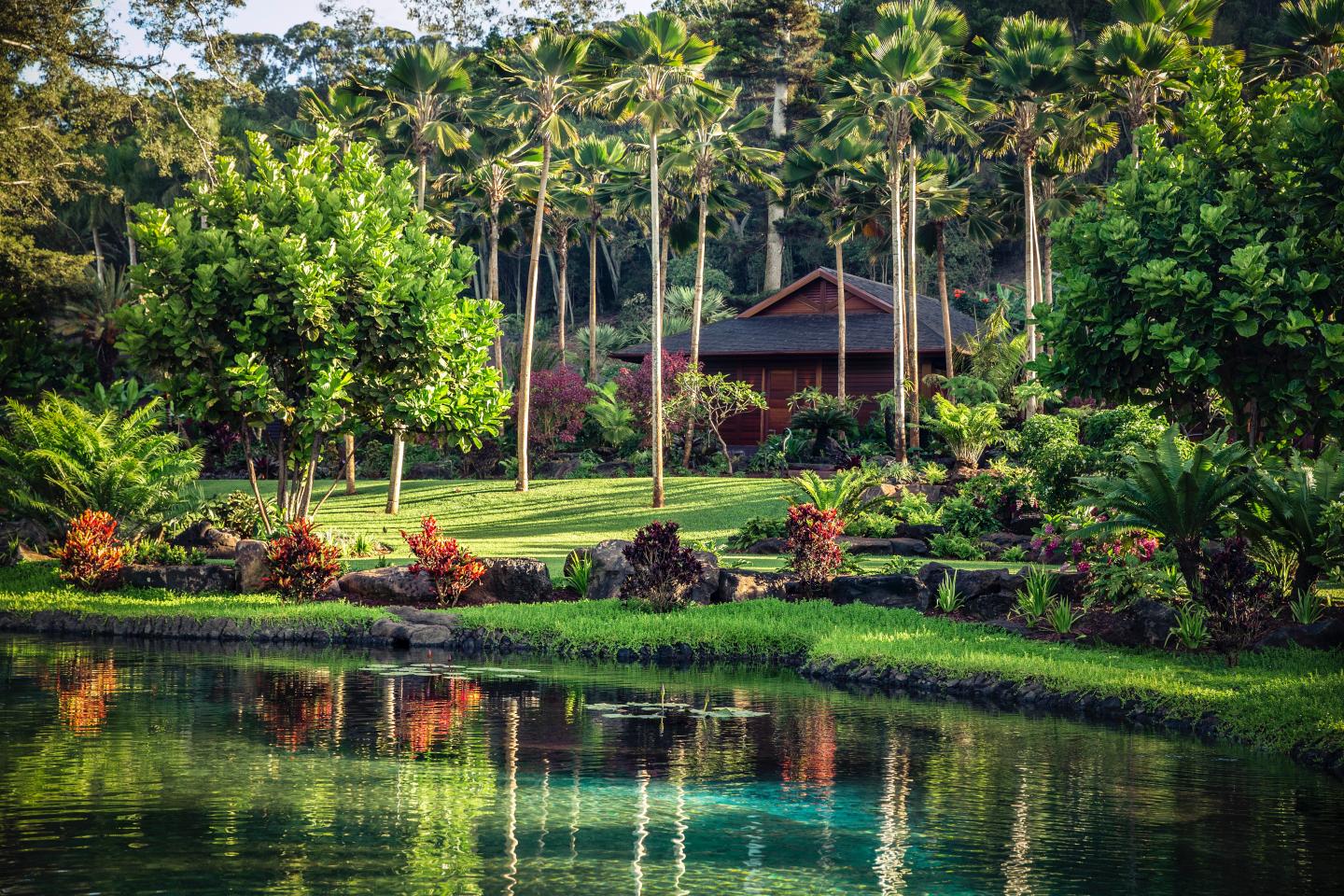 Four Seasons just unveiled its first all-inclusive wellness resort