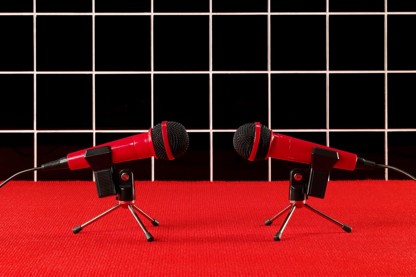 LeadershipNext podcast microphones