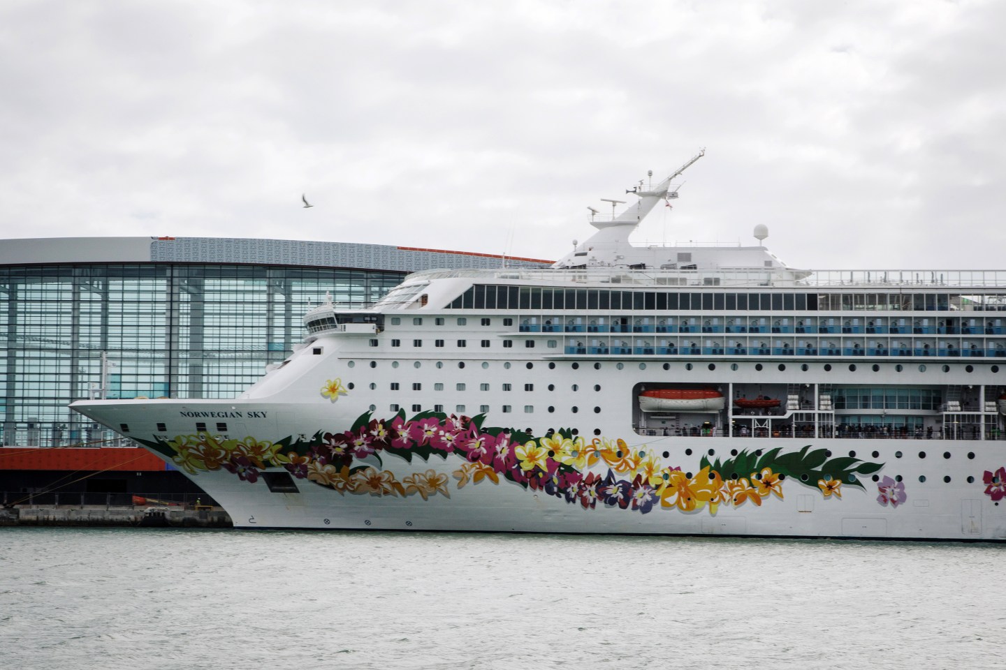 Cruise Ships-Coronavirus-Norwegian Sky