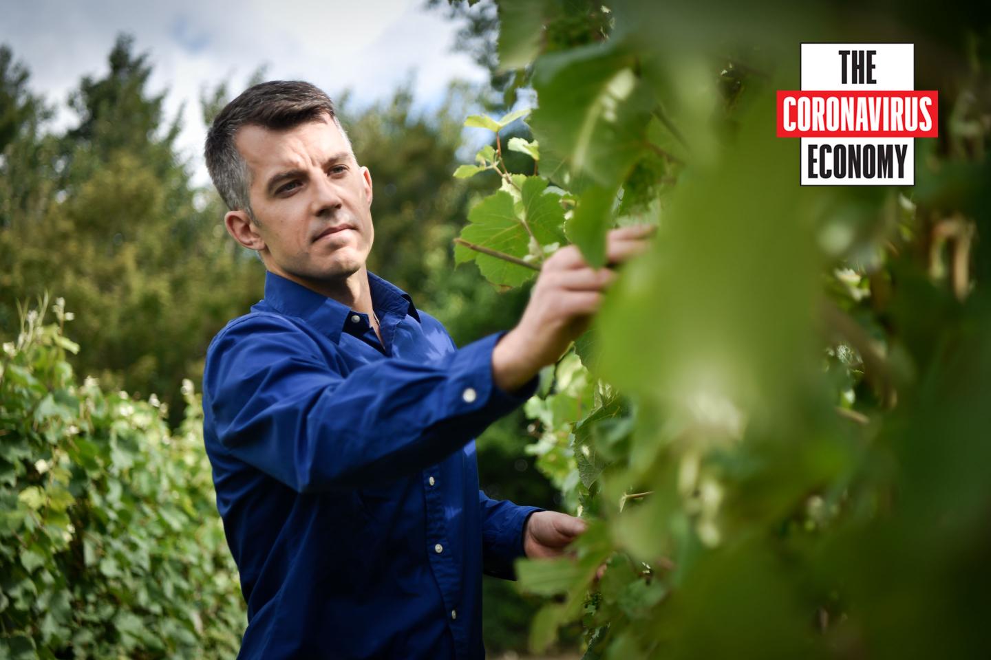 The Coronavirus Economy: How my job as a winemaker has changed so far