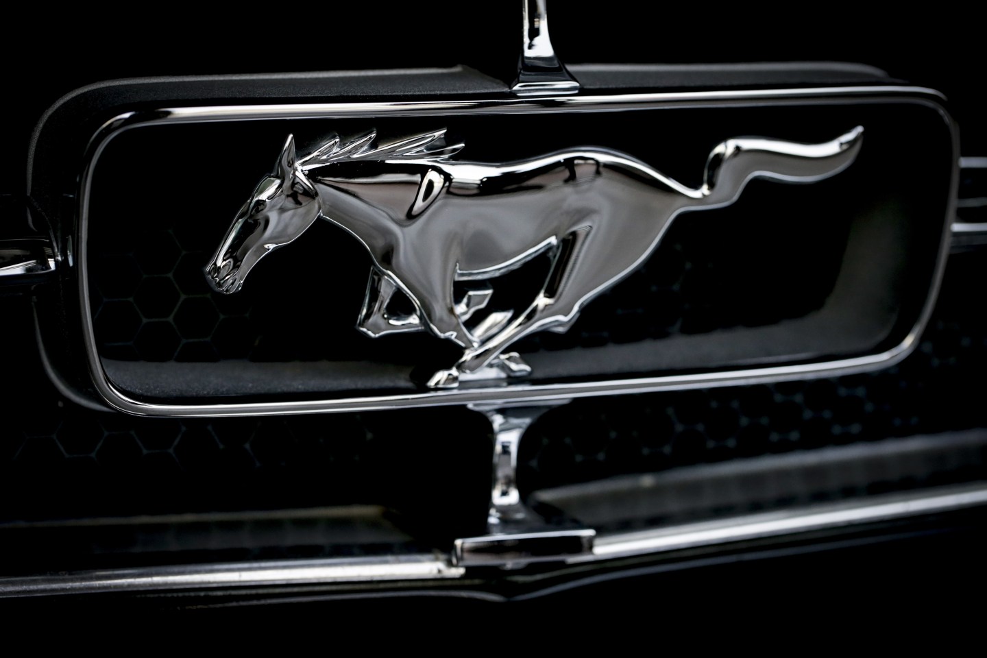 The logo from the nose of a classic Ford Mustang, photographed in 2018.