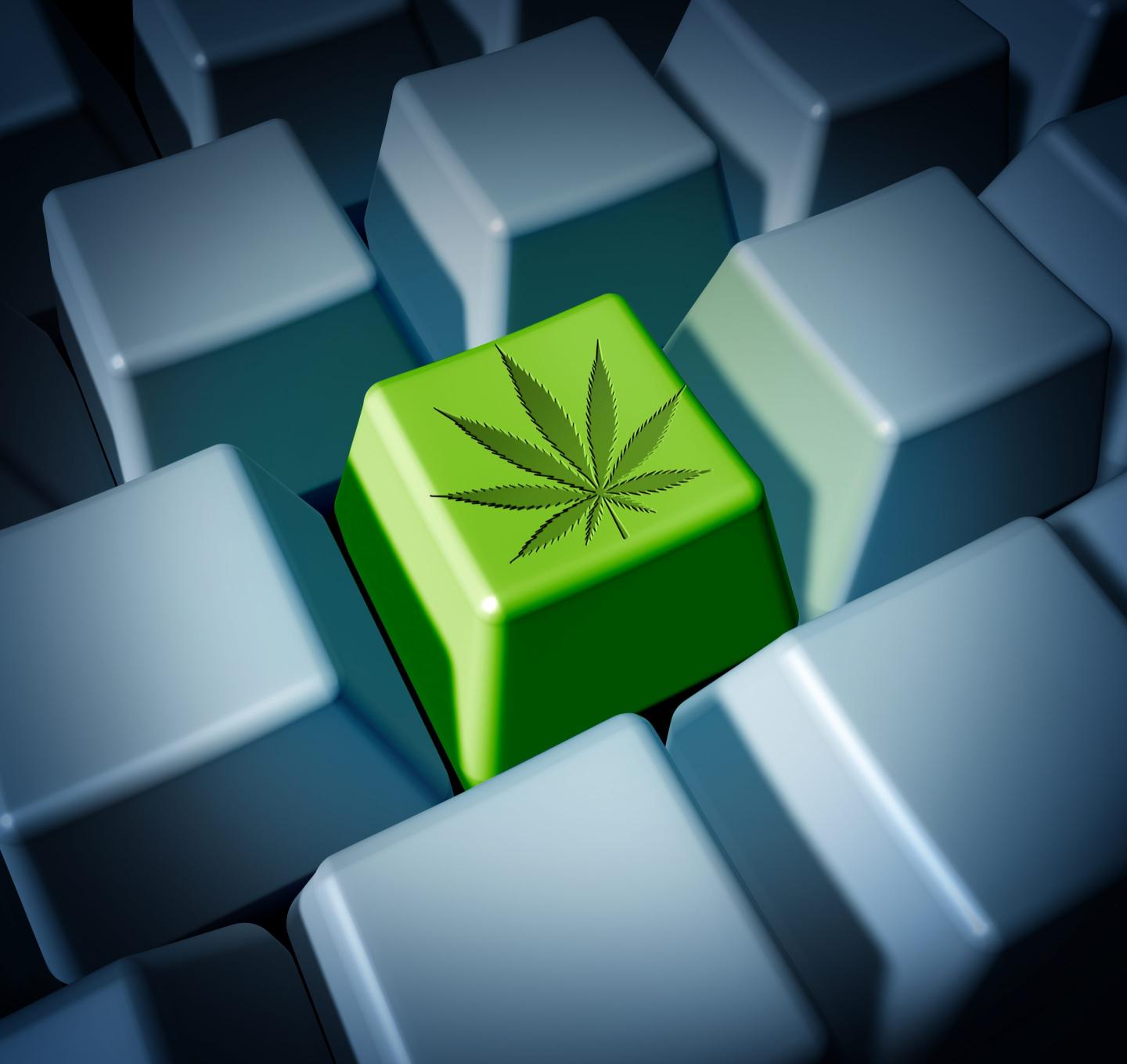 What employers need to know about employees microdosing cannabis at work