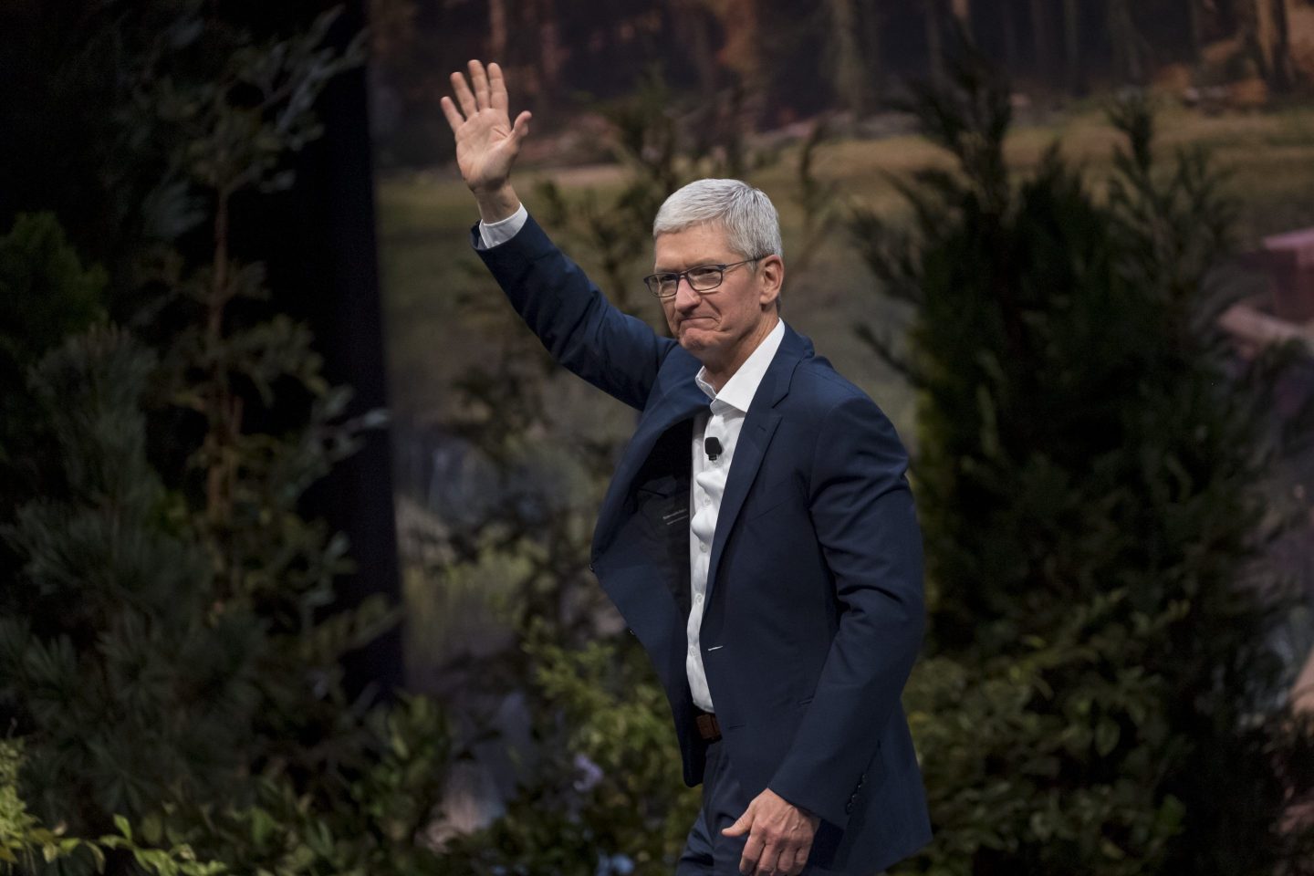 apple ceo tim cook waves