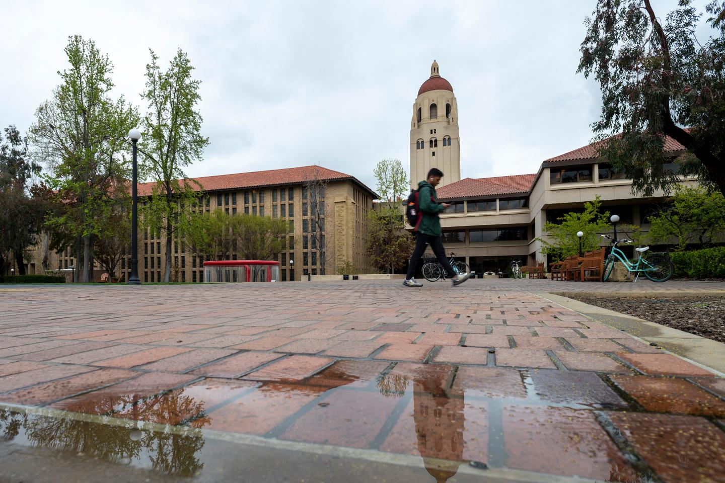 Colleges are getting slammed amid the coronavirus crisis—and the worst may still lie ahead