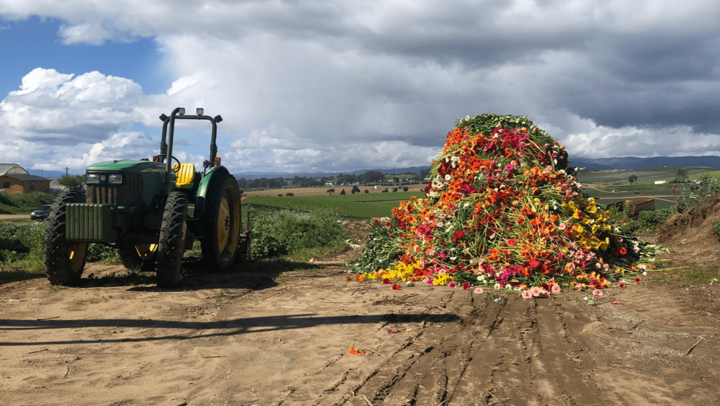 Flower vendors still hold out hope for regrowth amid the coronavirus pandemic