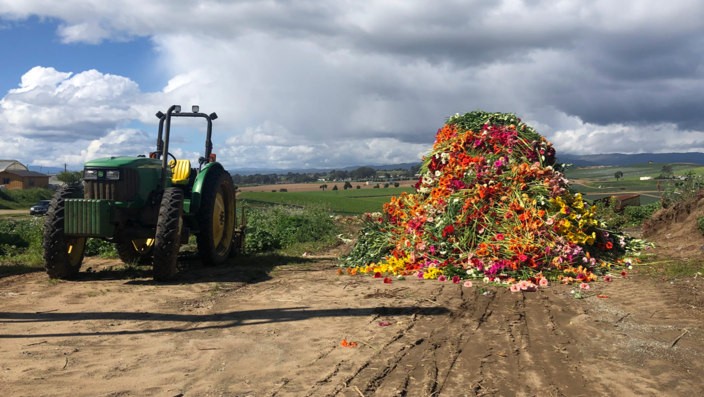 Flower vendors still hold out hope for regrowth amid the coronavirus pandemic